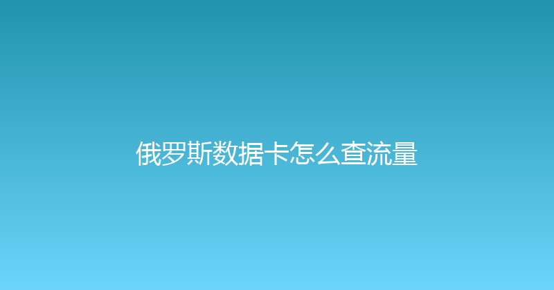 俄罗斯数据卡怎么查流量 