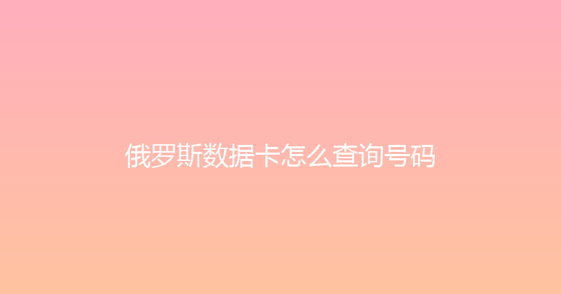 俄罗斯数据卡怎么查询号码 
