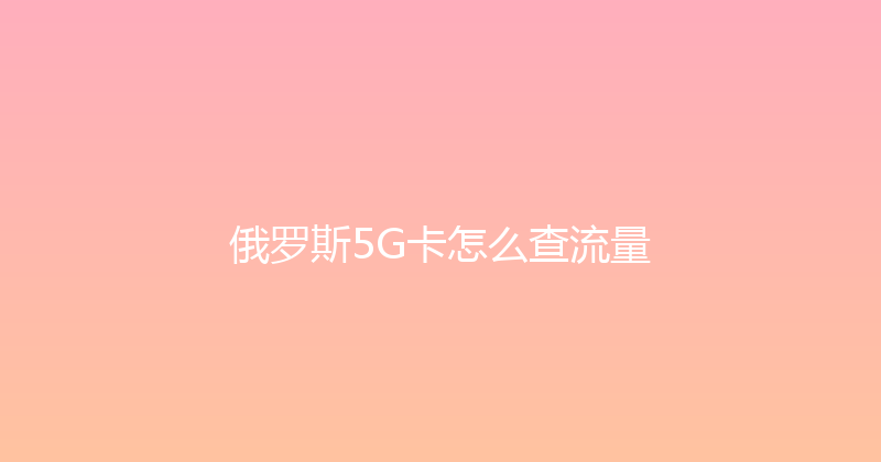 俄罗斯5G卡怎么查流量 