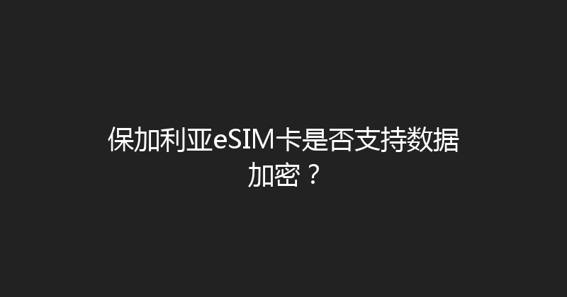 保加利亚eSIM卡是否支持数据加密？ 