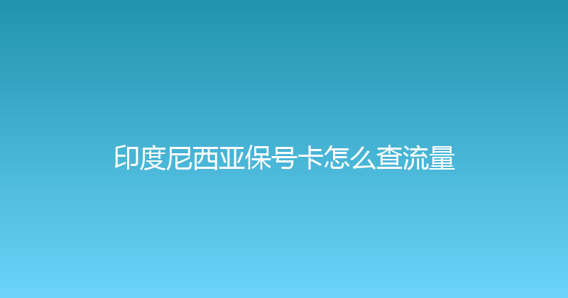 印度尼西亚保号卡怎么查流量 