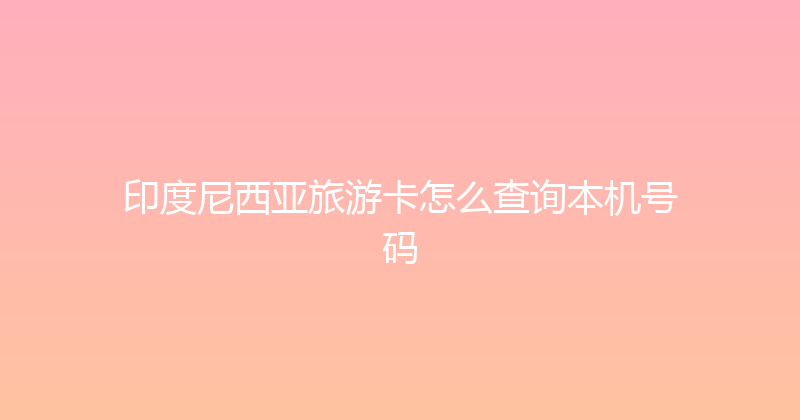 印度尼西亚旅游卡怎么查询本机号码 