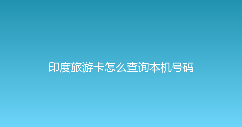 印度旅游卡怎么查询本机号码 