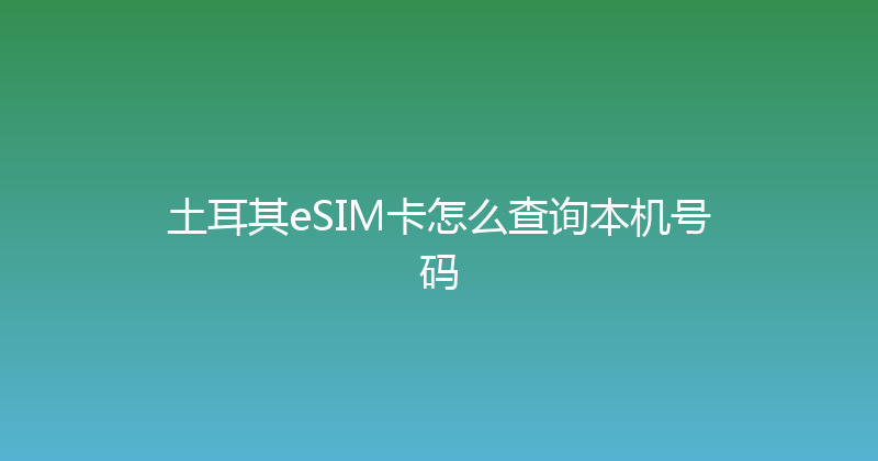土耳其eSIM卡怎么查询本机号码 