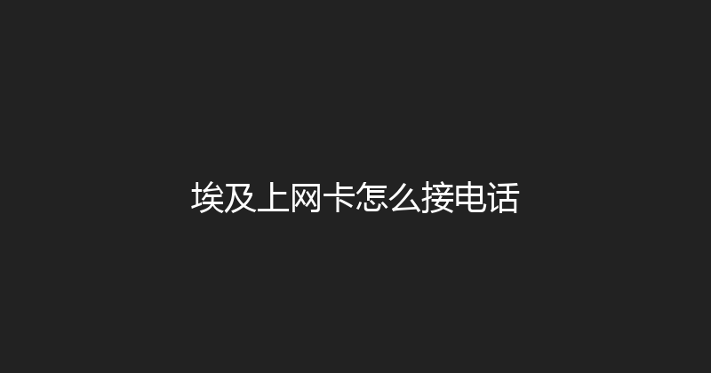 埃及上网卡怎么接电话 
