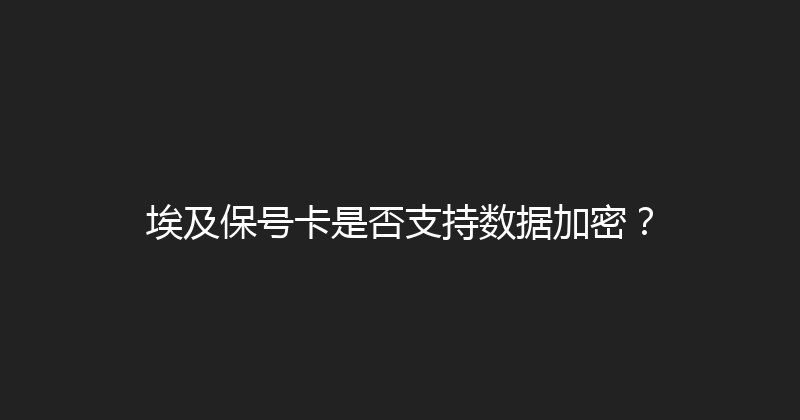 埃及保号卡是否支持数据加密？ 