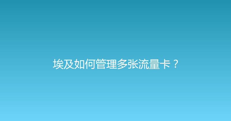 埃及如何管理多张流量卡？ 