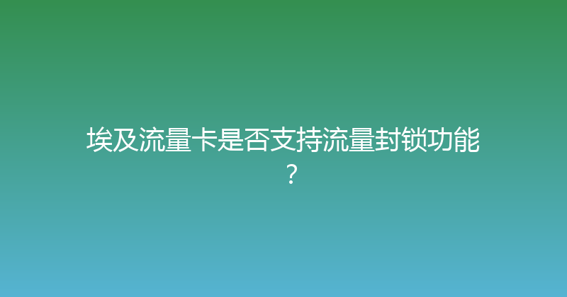 埃及流量卡是否支持流量封锁功能？ 