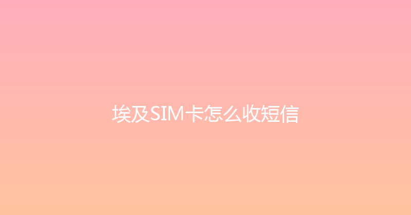 埃及SIM卡怎么收短信 