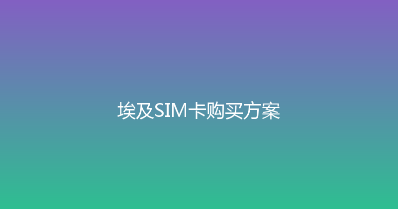 埃及SIM卡购买方案 
