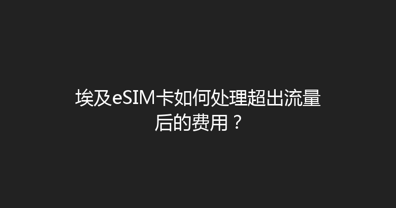 埃及eSIM卡如何处理超出流量后的费用？ 