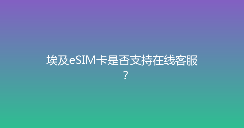埃及eSIM卡是否支持在线客服？ 