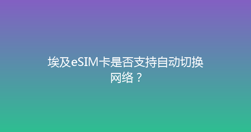 埃及eSIM卡是否支持自动切换网络？ 