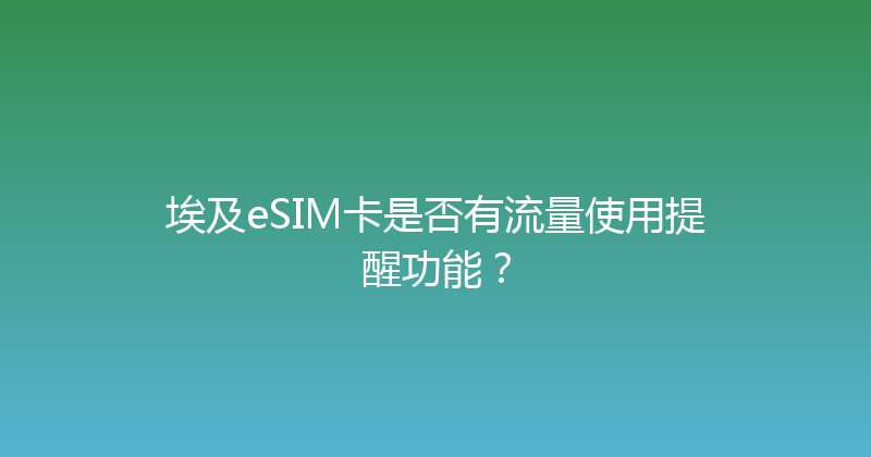 埃及eSIM卡是否有流量使用提醒功能？ 