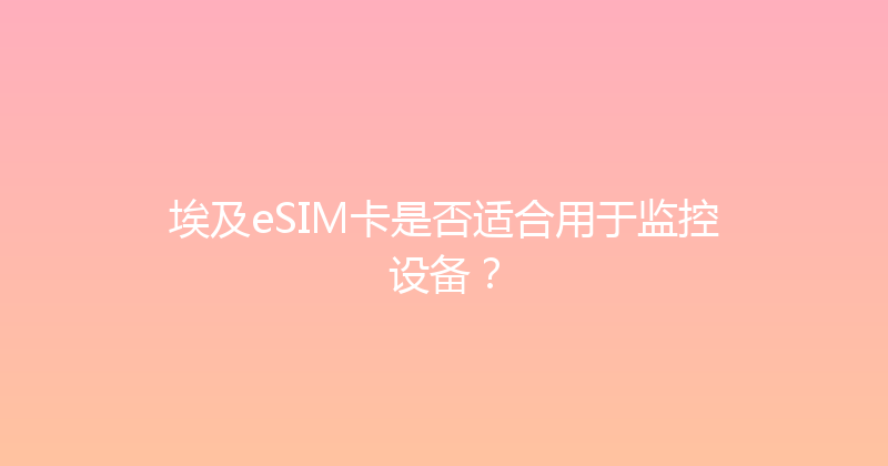 埃及eSIM卡是否适合用于监控设备？ 