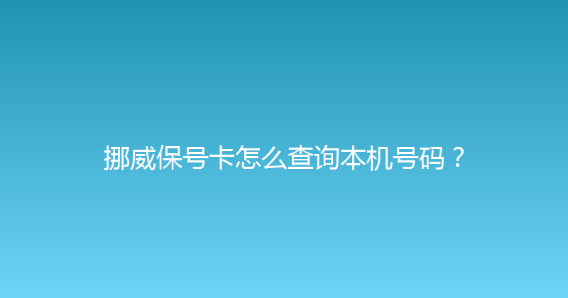 挪威保号卡怎么查询本机号码？ 