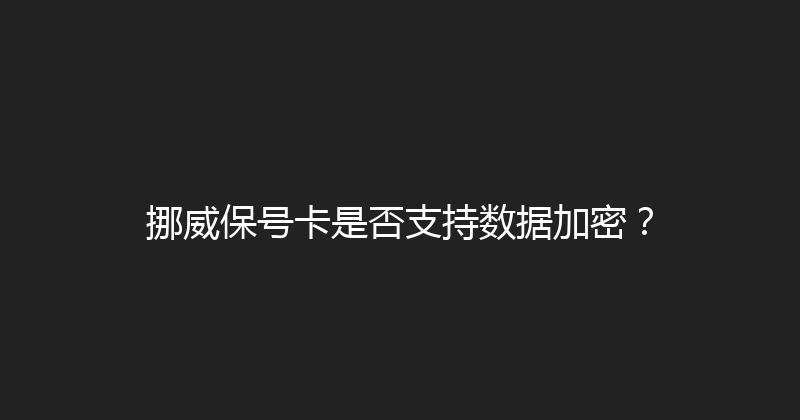 挪威保号卡是否支持数据加密？ 