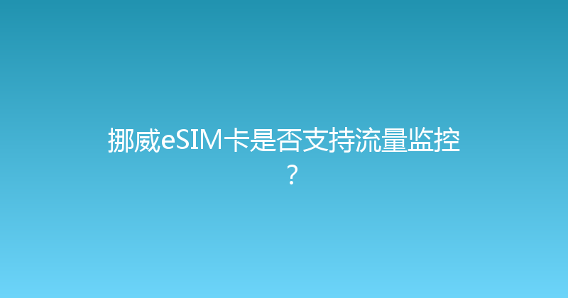 挪威eSIM卡是否支持流量监控？ 
