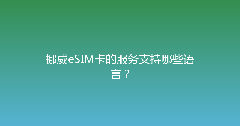 挪威eSIM卡的服务支持哪些语言？ 