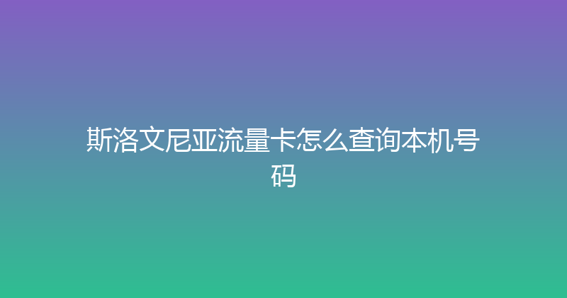 斯洛文尼亚流量卡怎么查询本机号码 