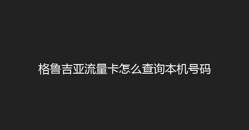 格鲁吉亚流量卡怎么查询本机号码 