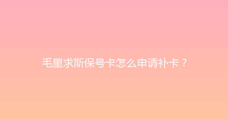 毛里求斯保号卡怎么申请补卡？ 
