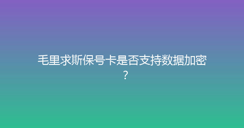 毛里求斯保号卡是否支持数据加密？ 