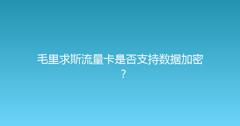 毛里求斯流量卡是否支持数据加密？ 