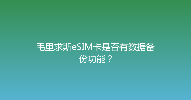 毛里求斯eSIM卡是否有数据备份功能？ 
