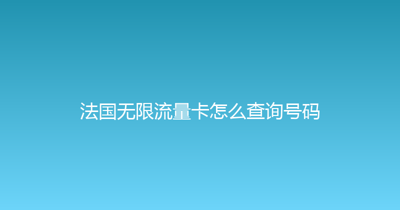 法国无限流量卡怎么查询号码 