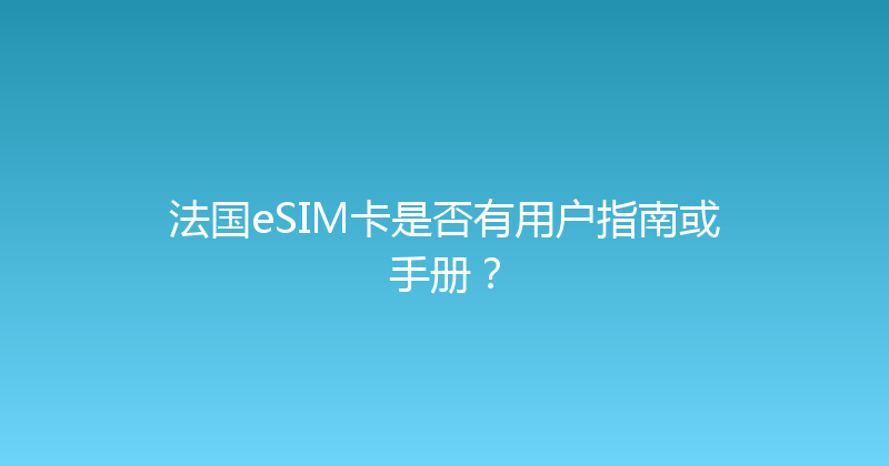 法国eSIM卡是否有用户指南或手册？ 