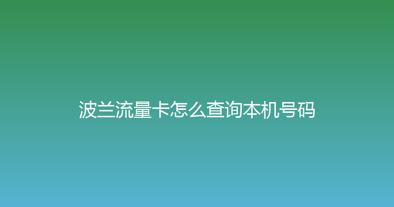 波兰流量卡怎么查询本机号码 