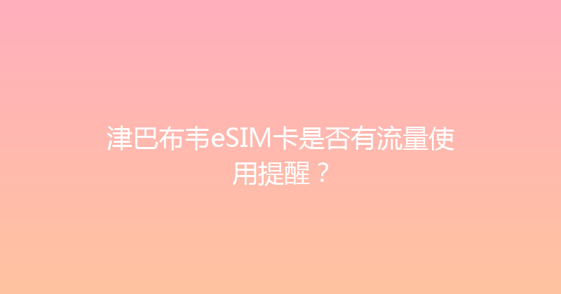 津巴布韦eSIM卡是否有流量使用提醒？ 
