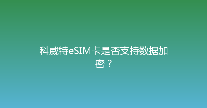 科威特eSIM卡是否支持数据加密？ 