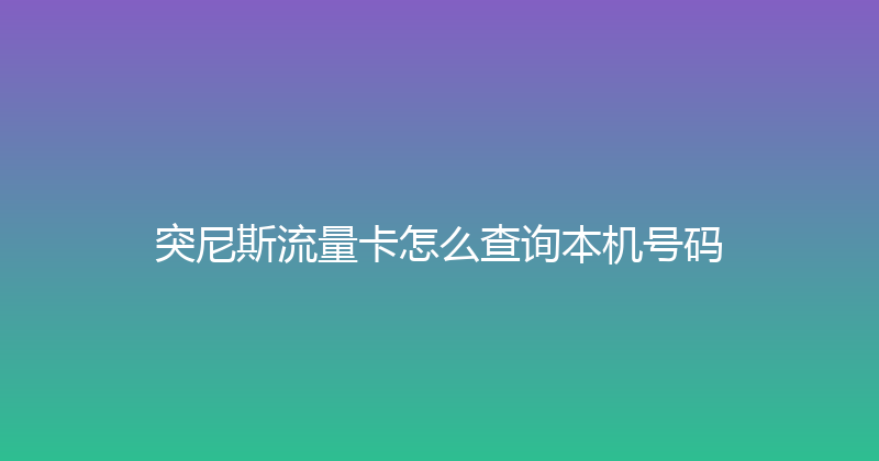 突尼斯流量卡怎么查询本机号码 