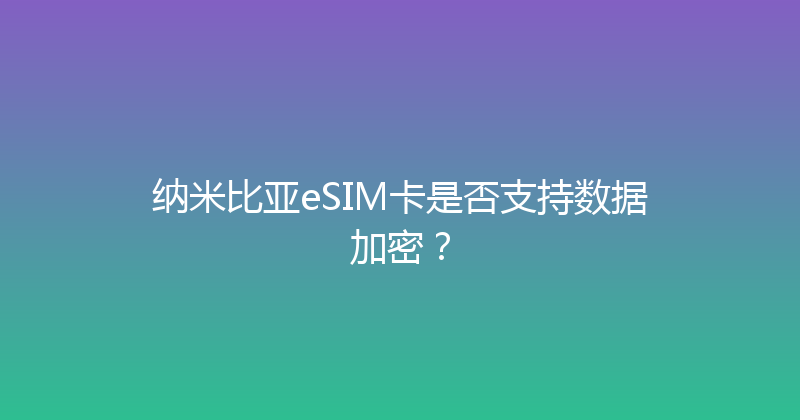 纳米比亚eSIM卡是否支持数据加密？ 