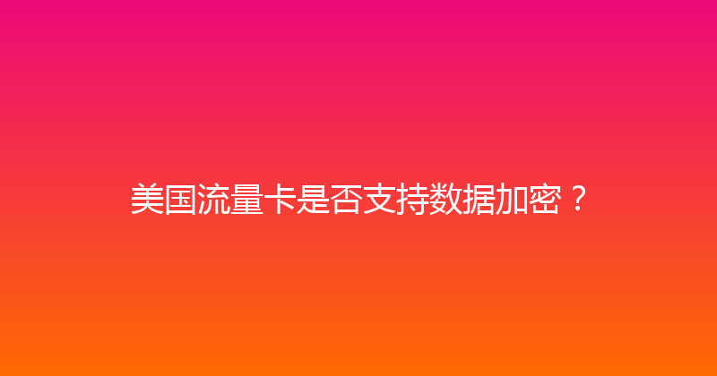 美国流量卡是否支持数据加密？ 