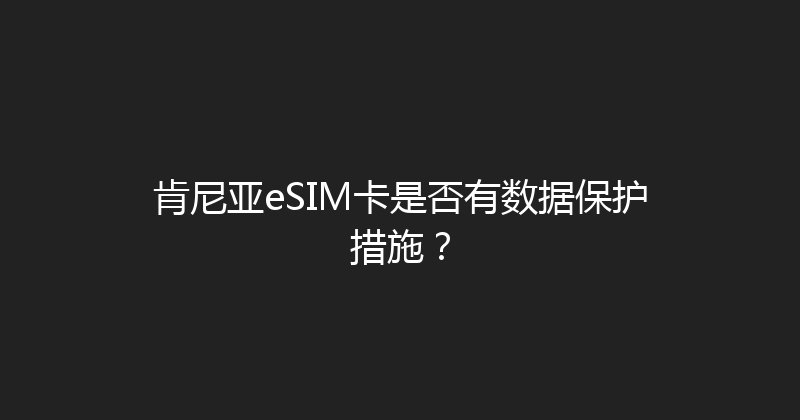 肯尼亚eSIM卡是否有数据保护措施？ 