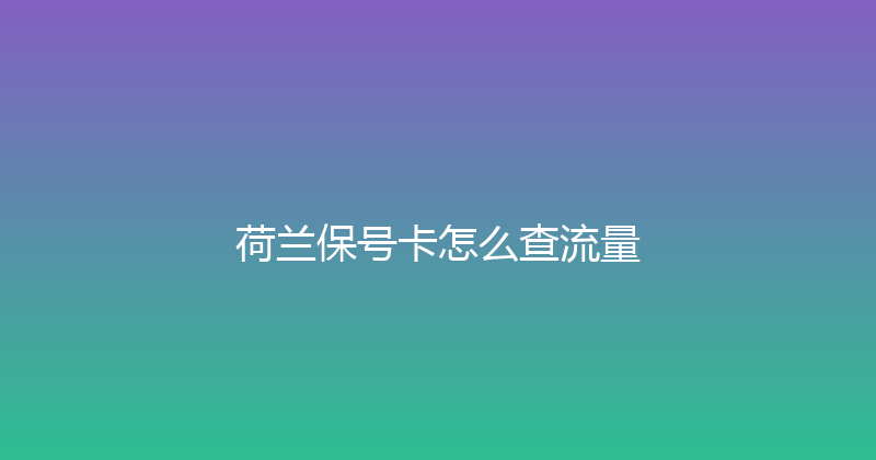 荷兰保号卡怎么查流量 