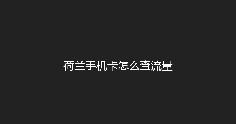 荷兰手机卡怎么查流量 