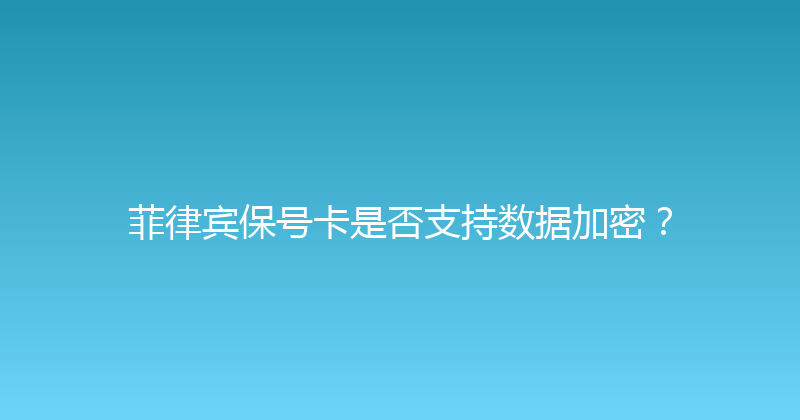菲律宾保号卡是否支持数据加密？ 