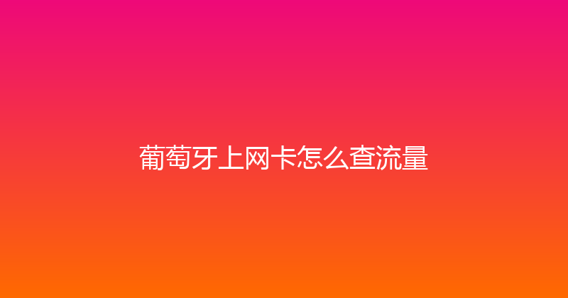 葡萄牙上网卡怎么查流量 