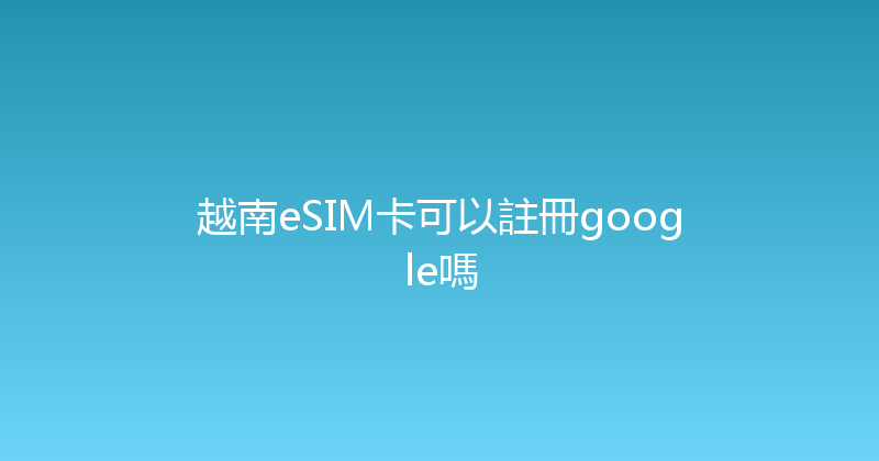 越南eSIM卡可以註冊google嗎 