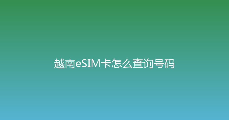 越南eSIM卡怎么查询号码 