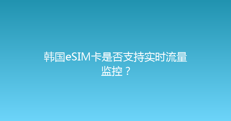 韩国eSIM卡是否支持实时流量监控？ 