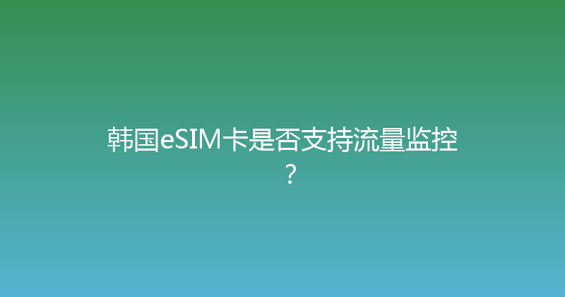 韩国eSIM卡是否支持流量监控？ 
