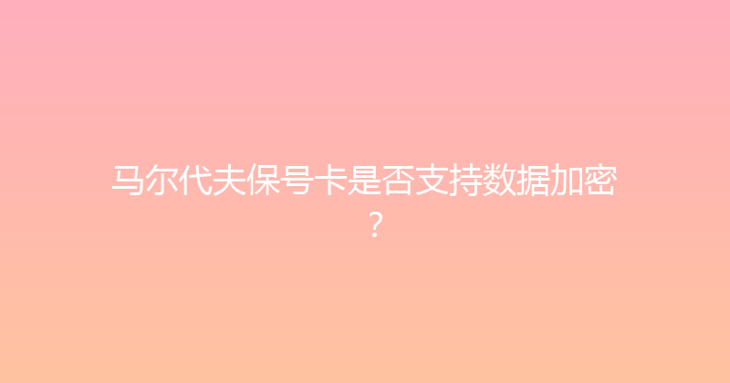 马尔代夫保号卡是否支持数据加密？ 