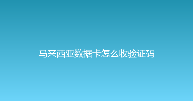 马来西亚数据卡怎么收验证码 