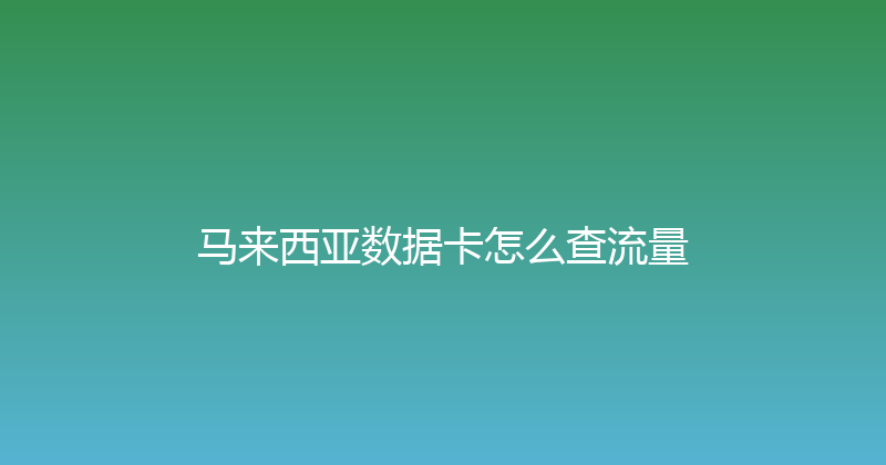 马来西亚数据卡怎么查流量 